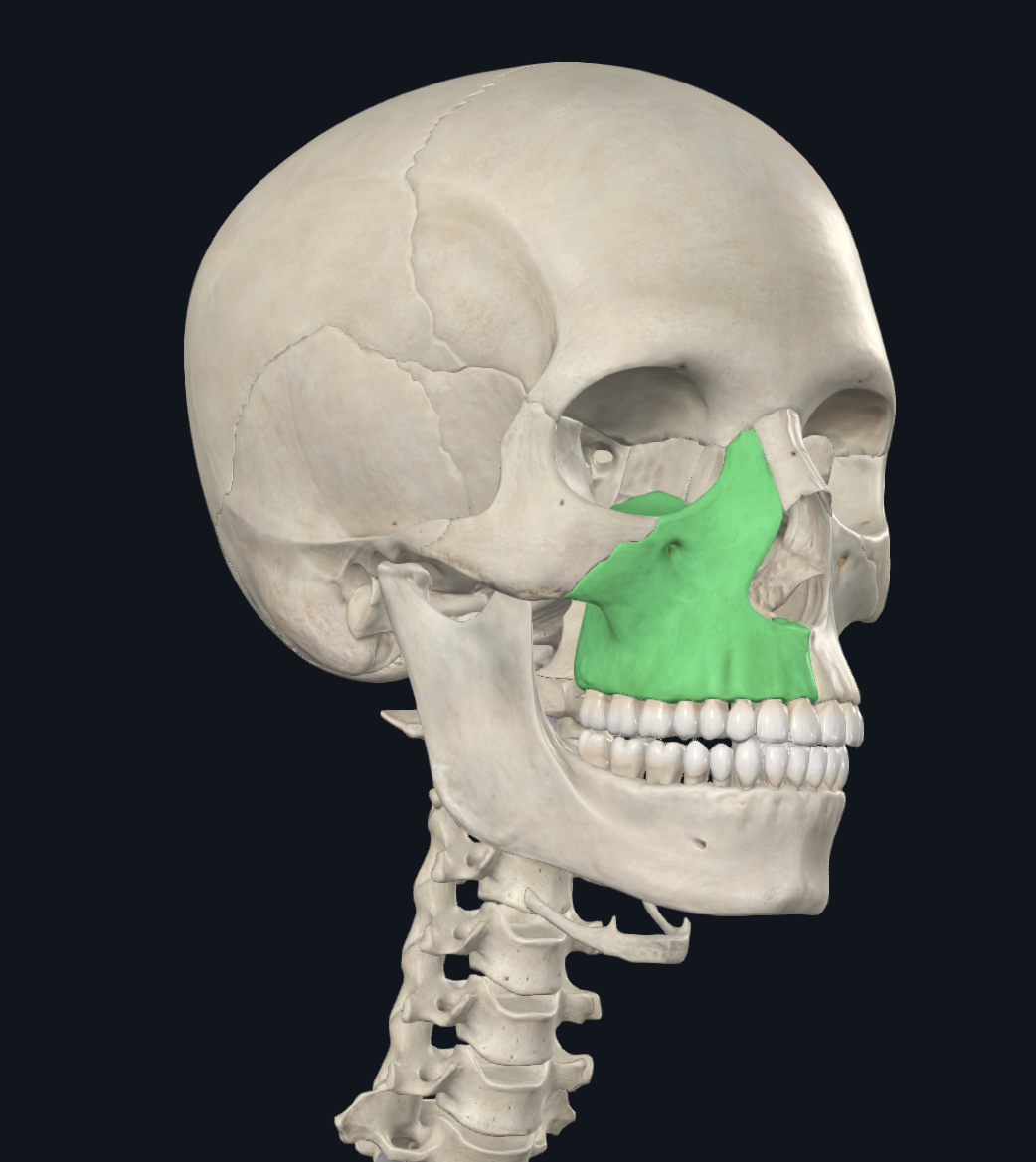Jaw Fracture Treatment